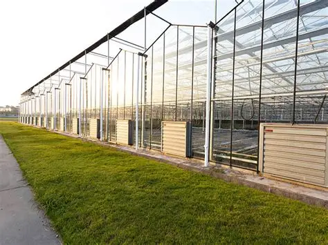 Steel Structure Agricultural Greenhouse Construction